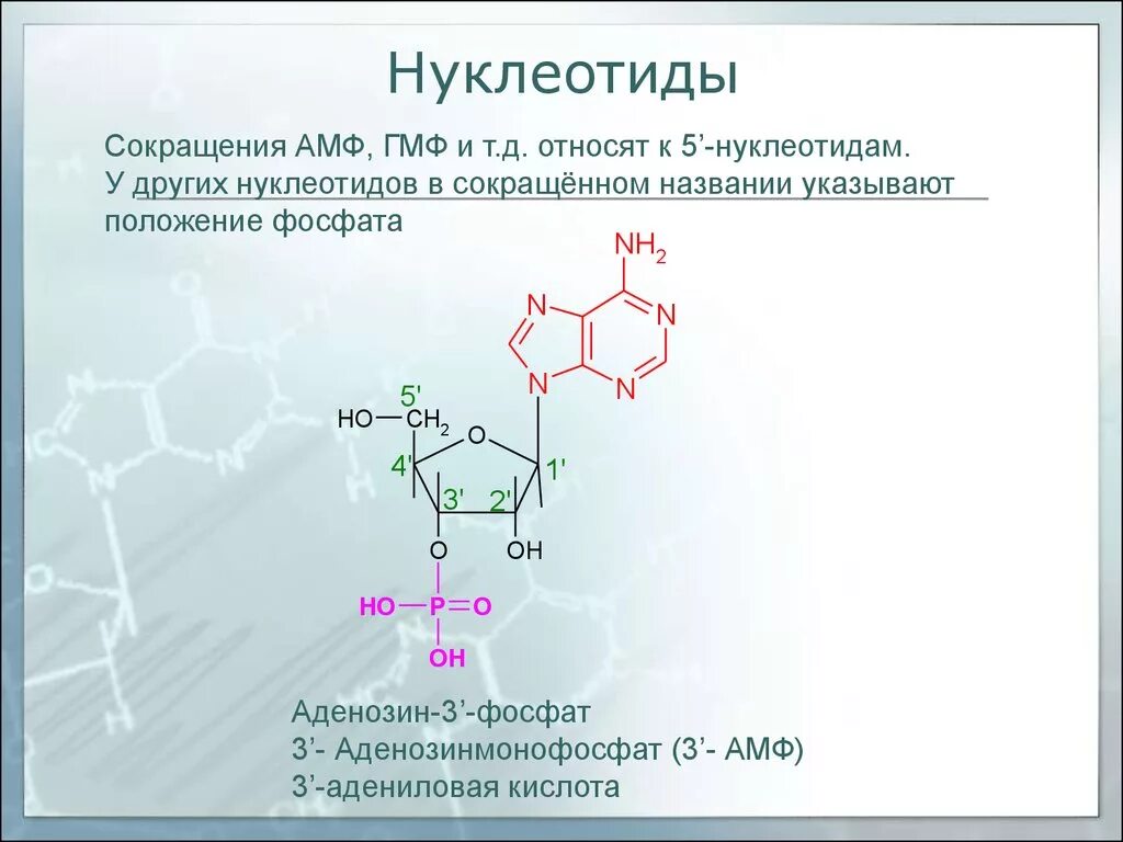 Буквы нуклеотидов. Аденозин 5 монофосфат. 5 Формул нуклеотидов. Формула нуклеотида 5'-аденозинмонофосфат. Нуклеотиды формулы.