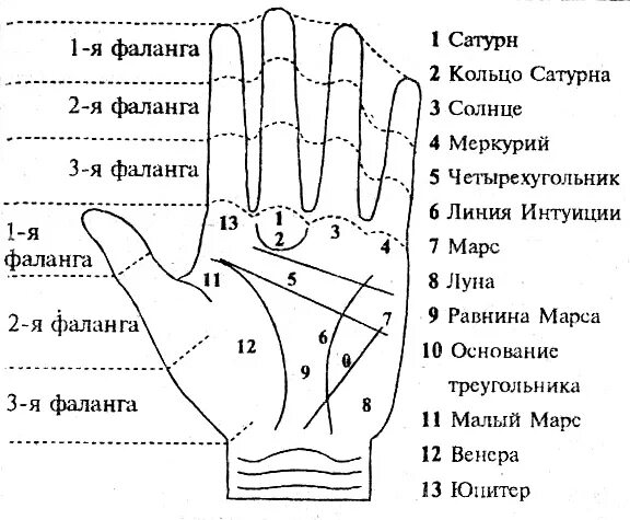 Пальцы в хиромантии. Хиромантия линии сбоку ладони. Схема линий для хиромантии. Холм Меркурия хиромантия. Линия Сатурна и Меркурия на ладони.