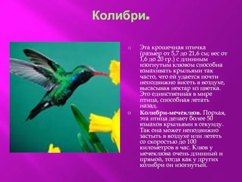 Взмахов в секунду