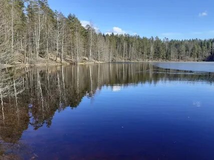 Черное ленинградская область
