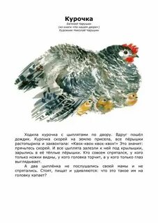 Чарушин курочка