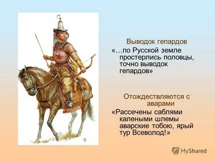 Какие печенеги