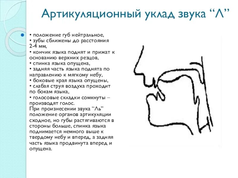 Профиль артикуляции звука л. Артикуляционный профиль звука р. Артикуляционный уклад звука л. Артикуляционный уклад звука с. Анализ звука л