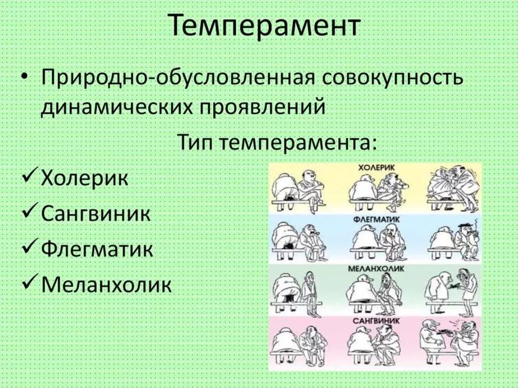 Укажите особенности которые характеризуют флегматика