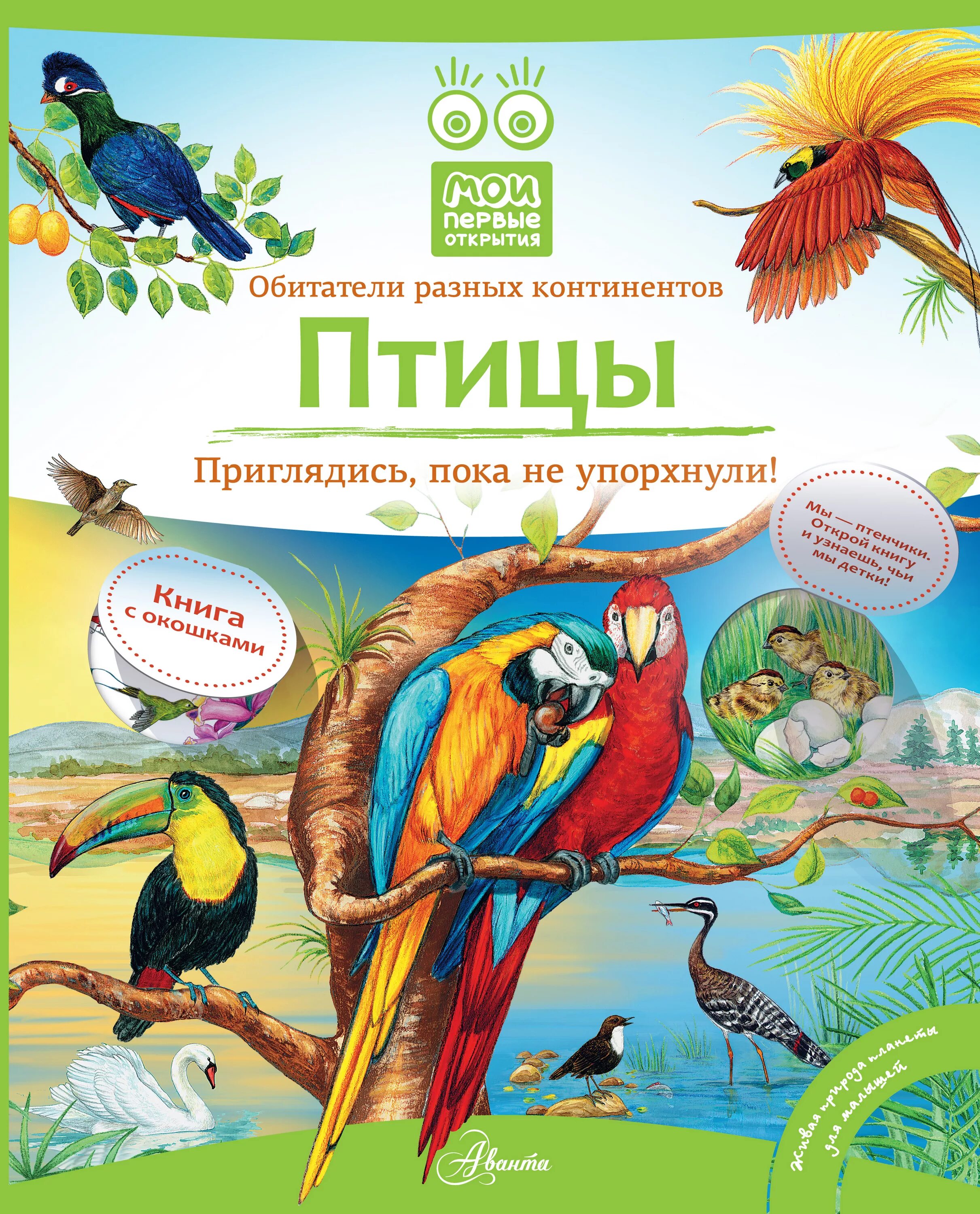 Книги о птицах. Книги о птицах для детей. Rybub j gnbwf[ lkz ltntq. Книги о птицах Художественные.