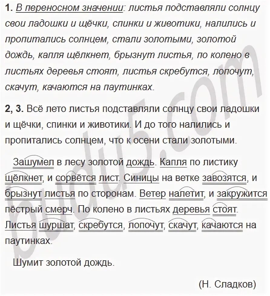 Русский язык 7 класс упражнение 258. Русский язык 5 класс упражнение 258. Русский язык 5 класс 1 часть упражнение 258.