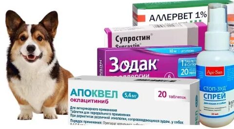 Какие препараты от аллергии можно собакам