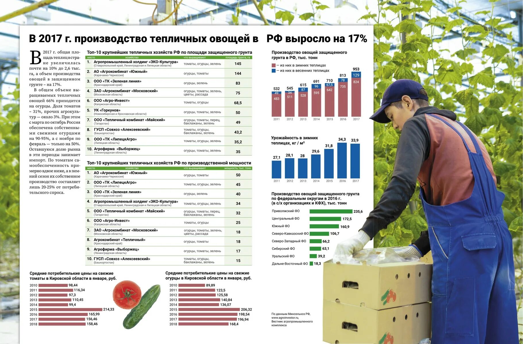 Что производить в 2017 году. Производство овощей в России. Производители овощей в России. Производство овощей выросло. Мастер тепличного производства.