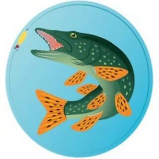 Рыбак поймал щуку и карася
