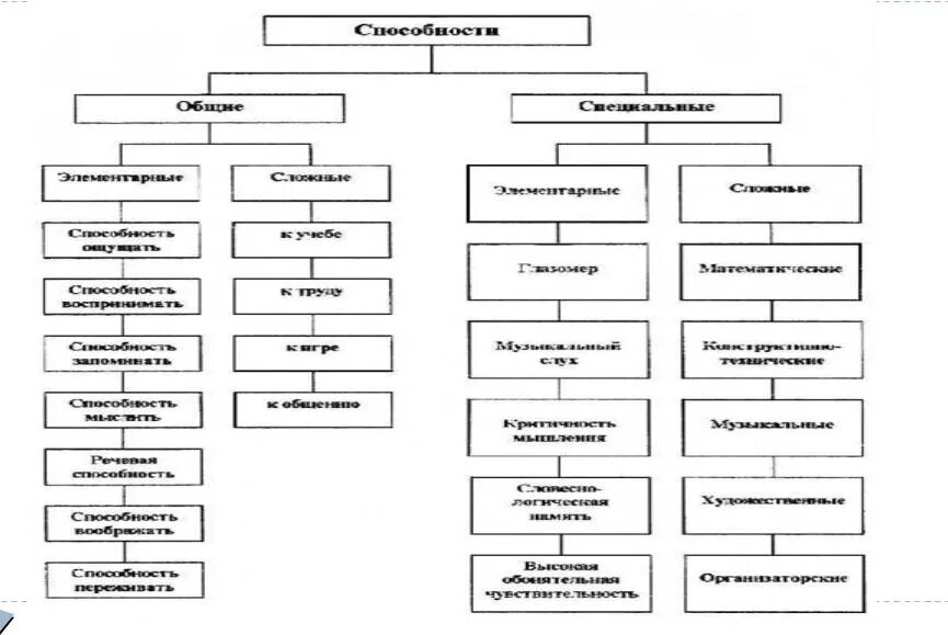 Является характеристикой способностей человека. Классификация способностей человека в психологии. Общие и специальные способности схема. Схема классификация способностей. Способности человека классификация.