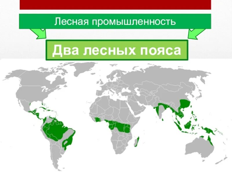 Северный и Южный Лесной пояс на карте. Лесные пояса на карте. Северный Лесной пояс.