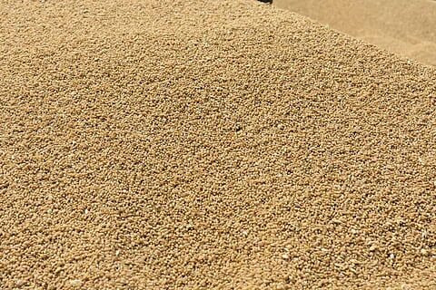 Grains of sand