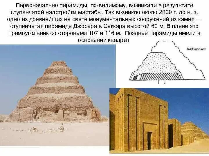Какой вид является самым древним. Какой вид является самым древним