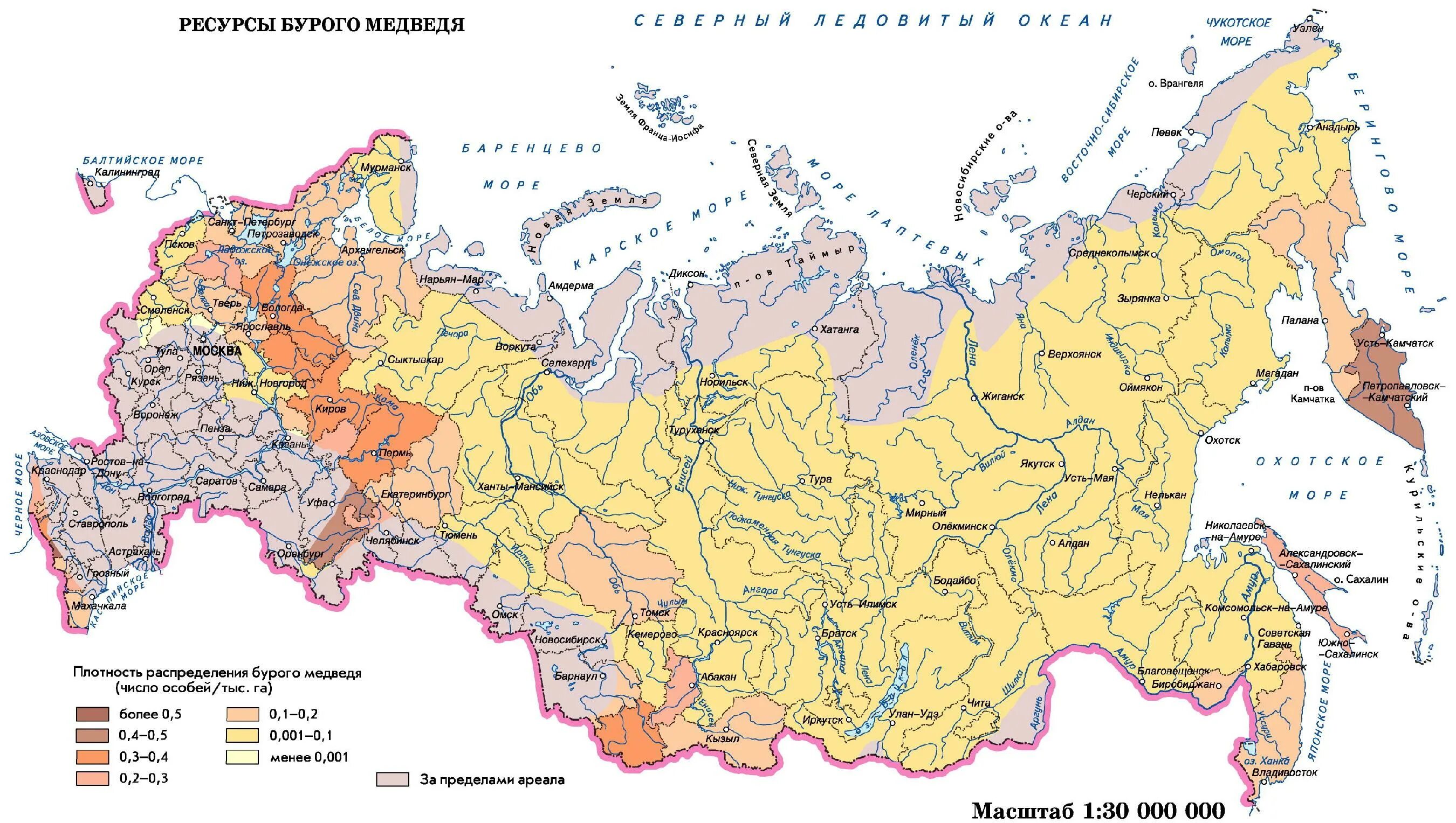 Средняя плотность пермского края. Ареал обитания лосей в России. Полупустыни России географическое положение на карте. Ареал бурого медведя в России карта. Медведи распространение в России.