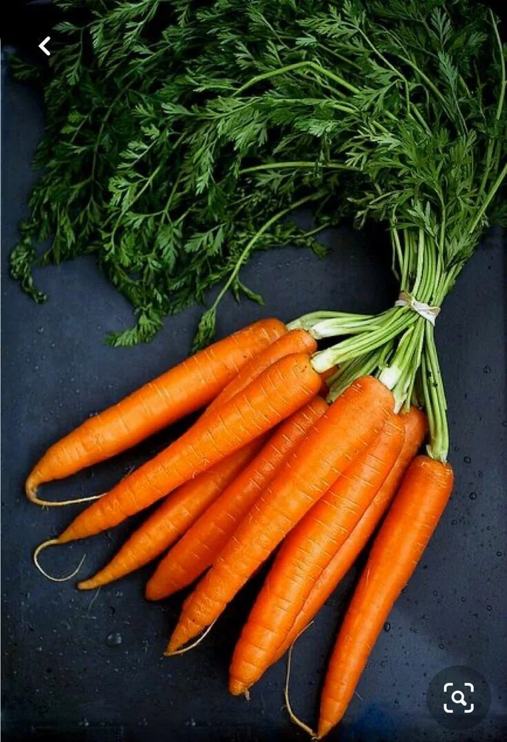 Carrot vegetable. Морковь. Моркко. Красивая морковь. Красивая морковка.