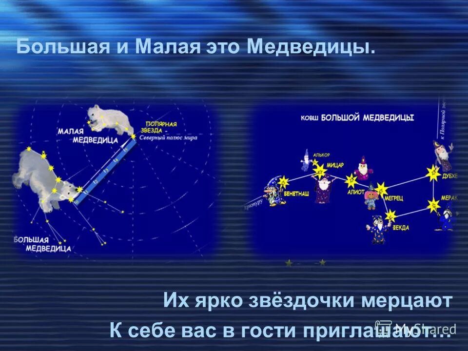 звезды малой медведицы названия