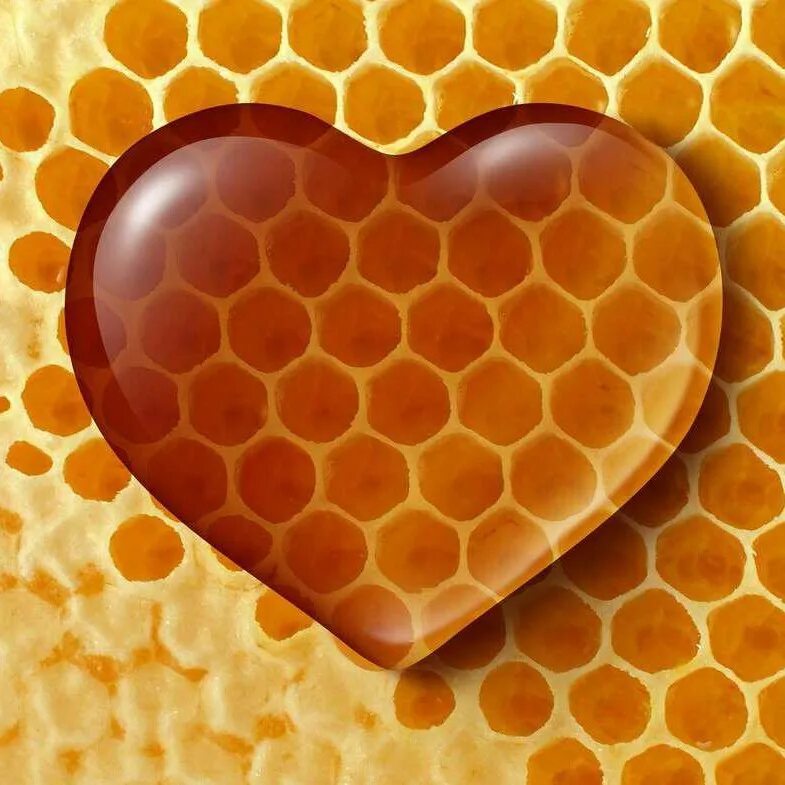 Медук. Сердце из медовых сот. Медовые соты в виде сердца. Сердце из меда. Сердечко из сот.
