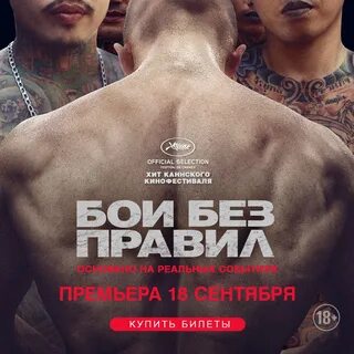 Бой без правил билеты