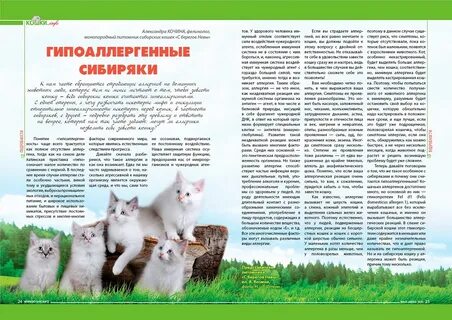 Сибирская кошка список пород кошек
