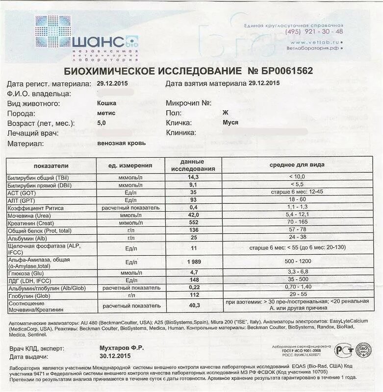 Щелочная фосфатаза Alp. Щелочная фосфатаза (ЩФ). Щелочная фосфатаза 500. Щелочная фосфатаза анализ крови. Фосфатаза щелочная что это значит у ребенка