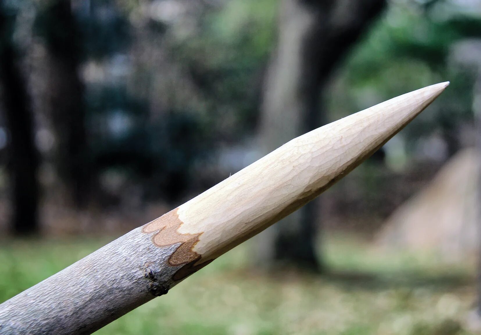 Копье из палки. Наконечник копья кованый. Ковка копья. Копье и гарпун. Оружие из палок.