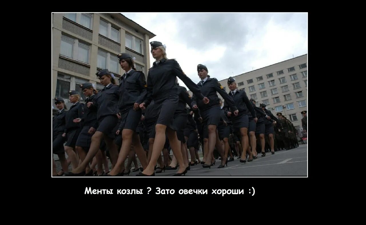 Форма ппс. Детектор лжи мвд. Московский университет мвд курсантки. Контроль в правоохранительных органах. Стоит идти работать в полицию.