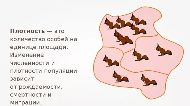 Сколько популяций. Популяция плотность популяции. Численность и плотность популяции схема. Плотность животных на единицу площади. Плотность популяции животных.