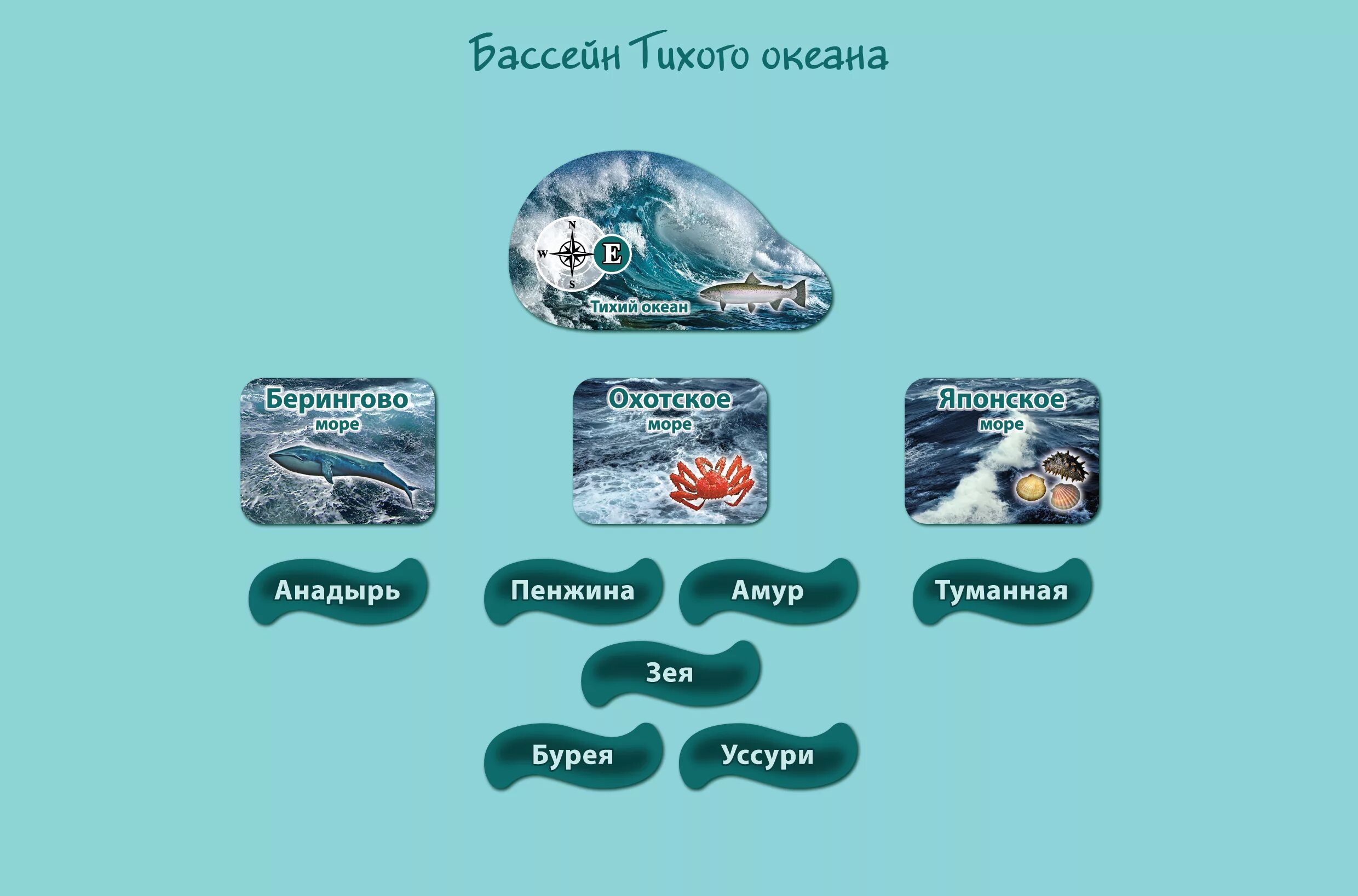 К какому океану относится анадырь. Бассейн Тихого океана. Бассейн Тихого океана реки. Реки бассейна Тихого океана в России. Моря бассейнов Тихого океана.