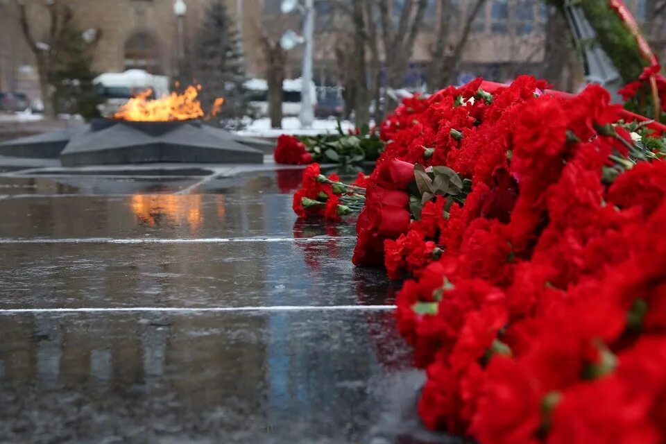 Гвоздики возложение. Возложение цветов к Вечному огню. Гвоздики у вечного огня. Возложение гвоздик к Вечному огню.