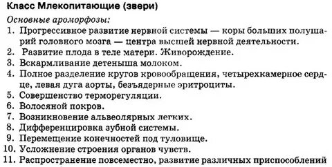 Какие ароморфозы у млекопитающих