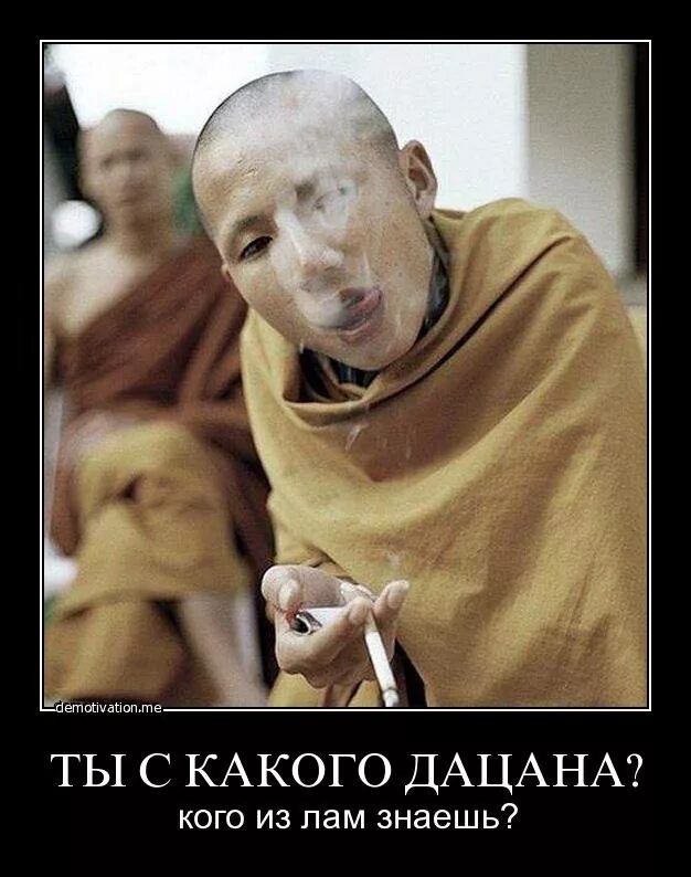 Лама знаешь