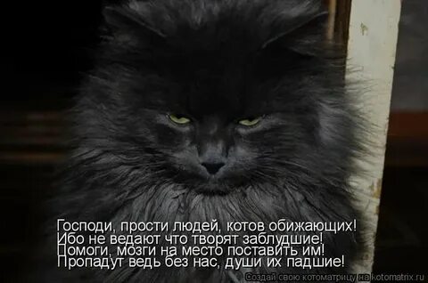 Я помогу ведь я не вы