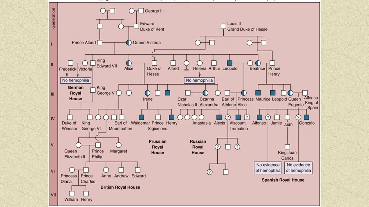 Родословная Виктории королевы Англии. Родословная дерево королевы Виктории. Генеалогическое Древо королевы Виктории гемофилия. Гемофилия королевы