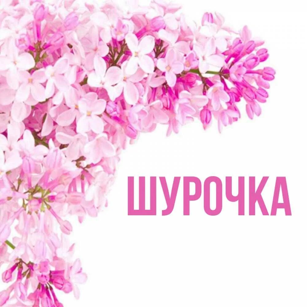 Открытка с именем Сестрёнка Земфира С днем рождения Поздравительная открытка на 