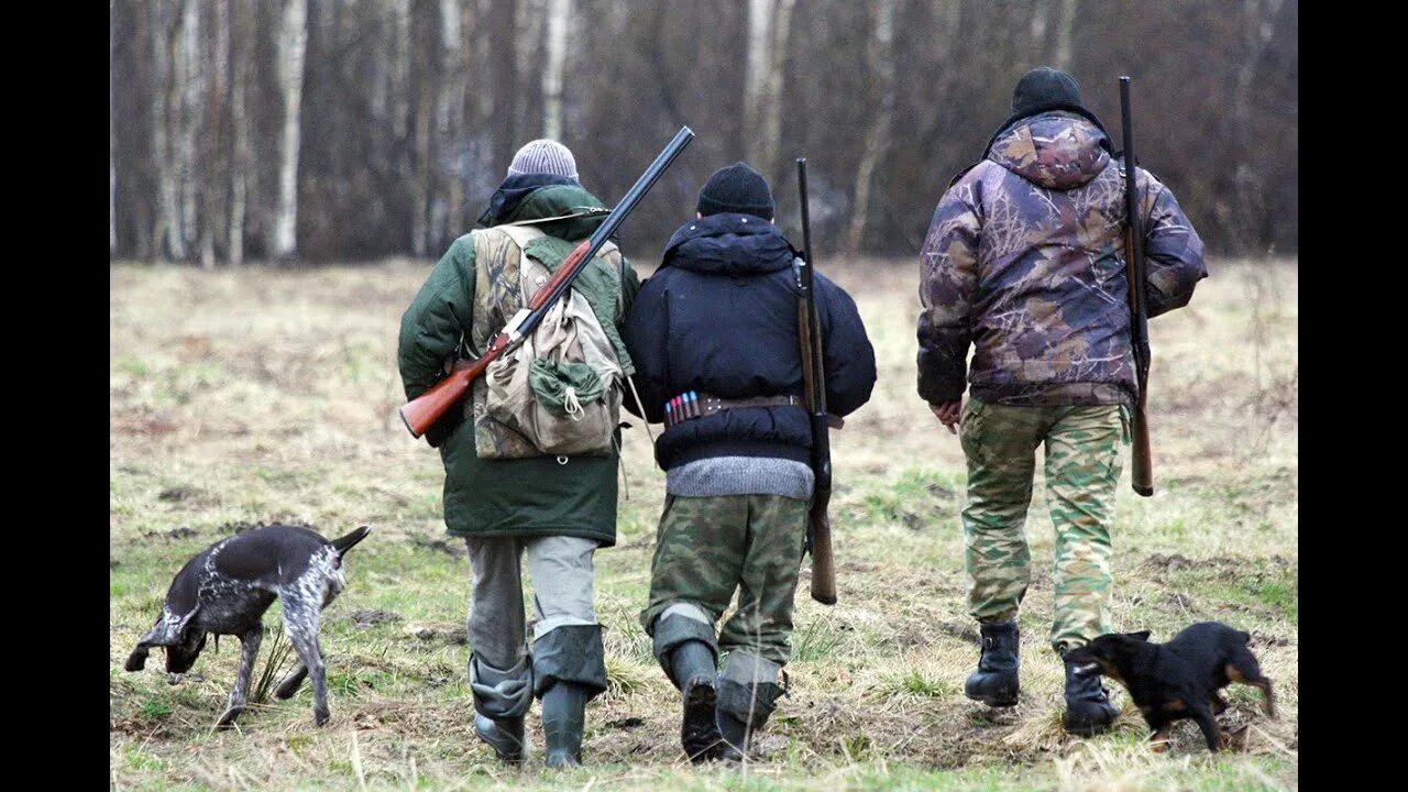 Нелегальные охотники. Нелегальные охотники. Охотник. Нелегальные охотники. Нелегальные охотники.