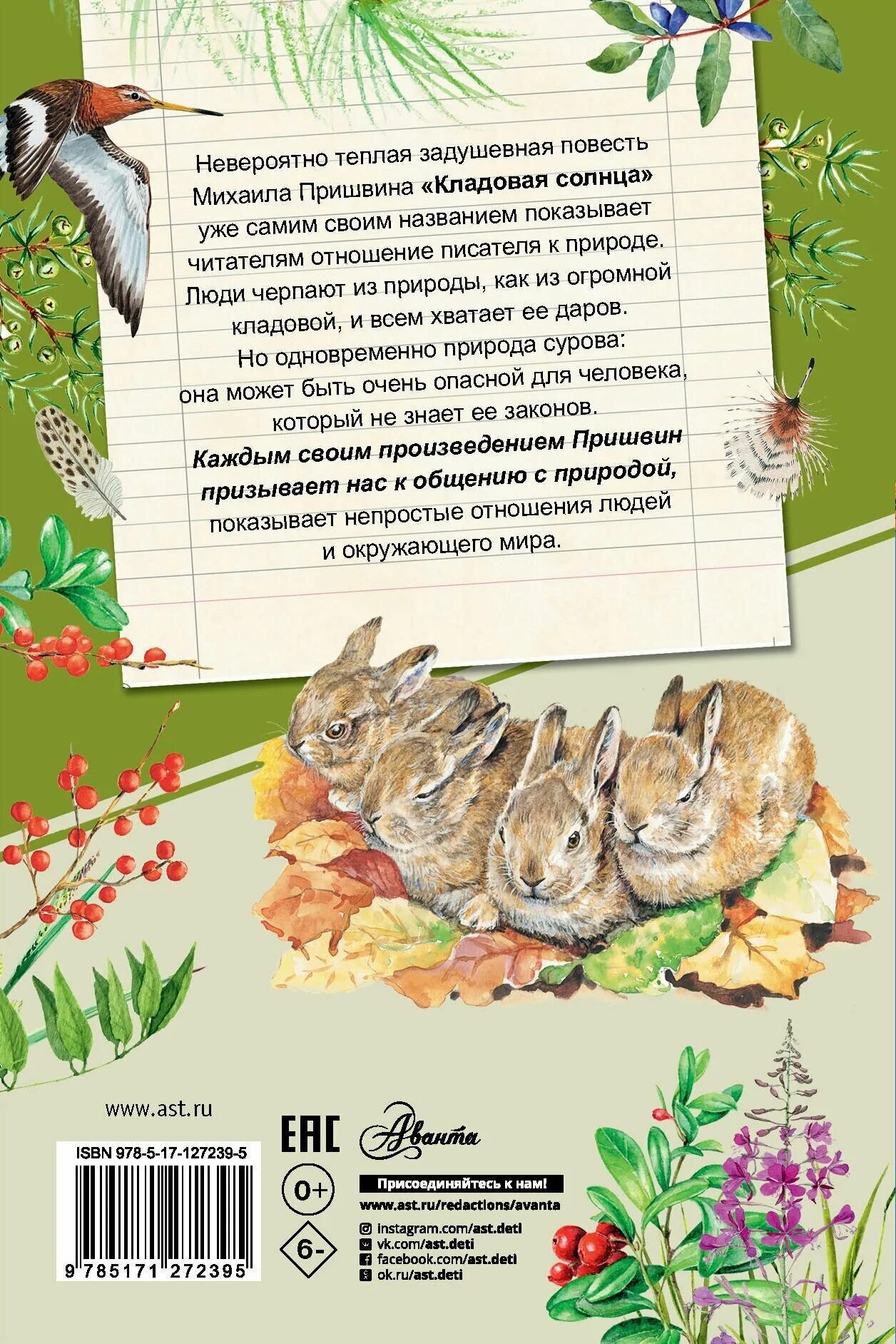 почему назвал пришвин кладовая. сказка-быль кладовая солнца пришвин. пришвин кладовая солнца книга иллюстрации. смысл названия кладовая солнца пришвин. почему назвал пришвин кладовая.