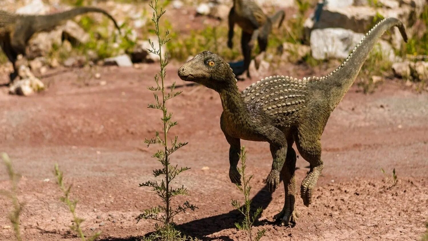 хищные динозавры названия. самый большой хищный динозавр в истории. описание динозавров. хищные динозавры называются. динозавры названия.