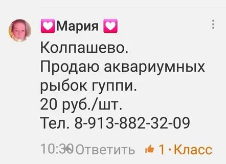 Юла северск