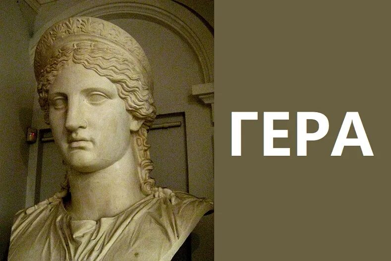 Сколько лет геры