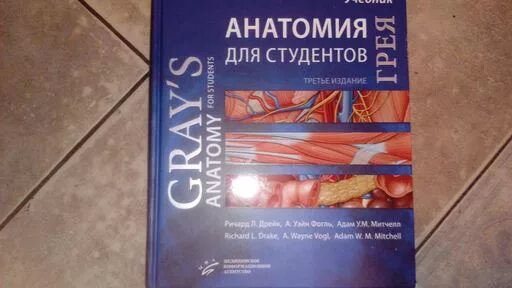 Анатомия для студентов (Дрейк, р.. Анатомия Грея учебник. Атлас анатомии Грея. Атлас анатомии Грея учебное пособие. Атлас студентам анатомии