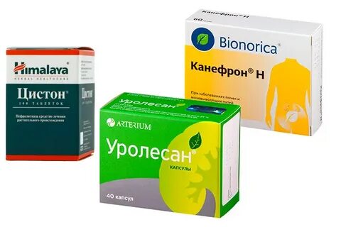 Противовоспалительные при воспалении мочеполовой системы