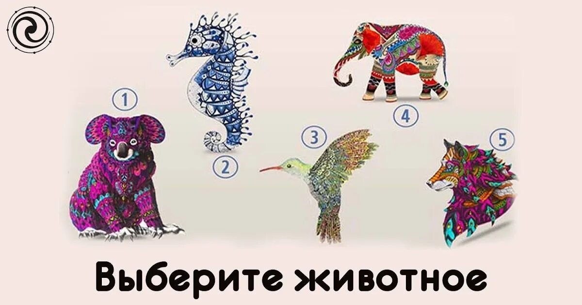 Выбери изображение животного которое. Выбери изображение животного которое