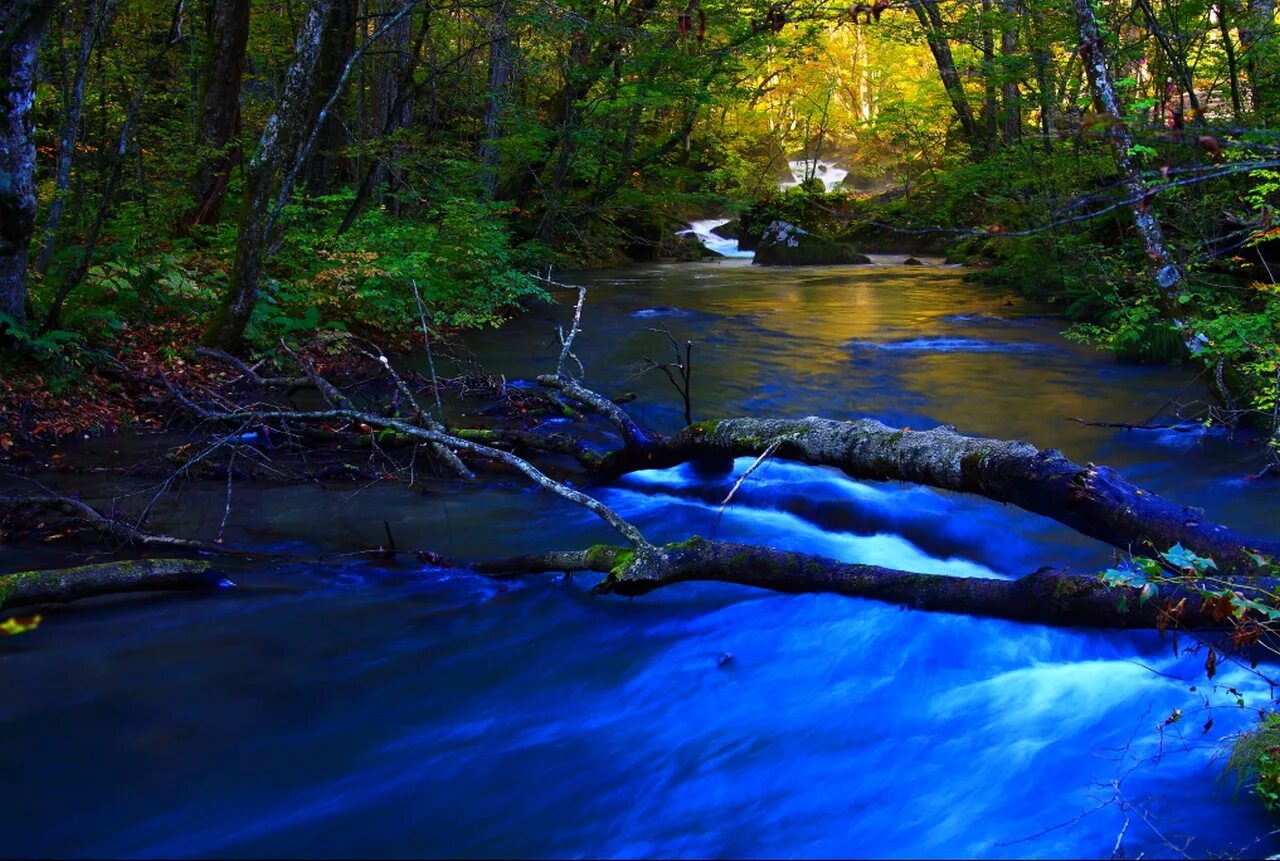 Реки сини. Река Кропп. Голубая река. Речка синяя. Голубой ручей.