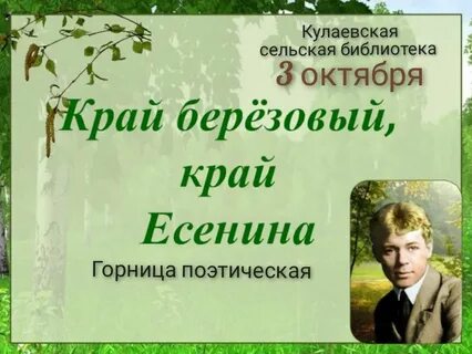 Край ты мой березовый есенин