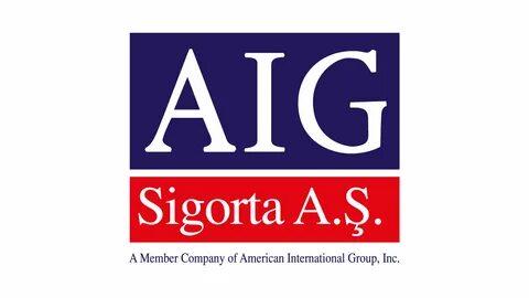 American international