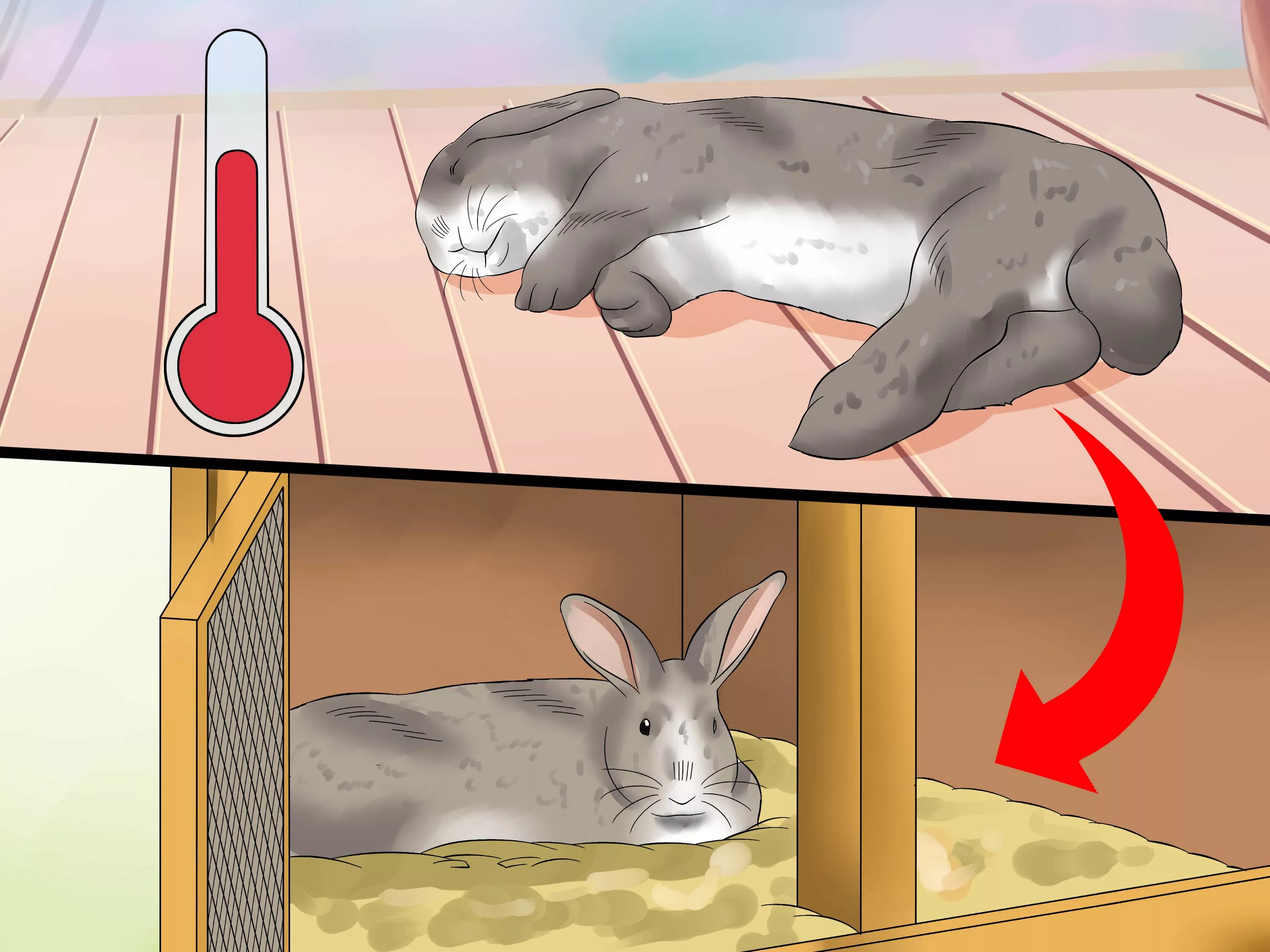 Rabbit in heat. 4 сезон зайчик. Солнечный удар у кролика. Rabbit in heat. Кролик атлас.