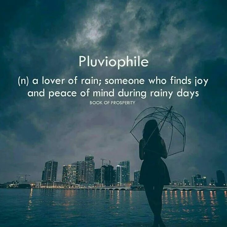 During rain. Pluviophile. Game pluviophile. Плювиофил картинки. Pluviophile_ооо6.