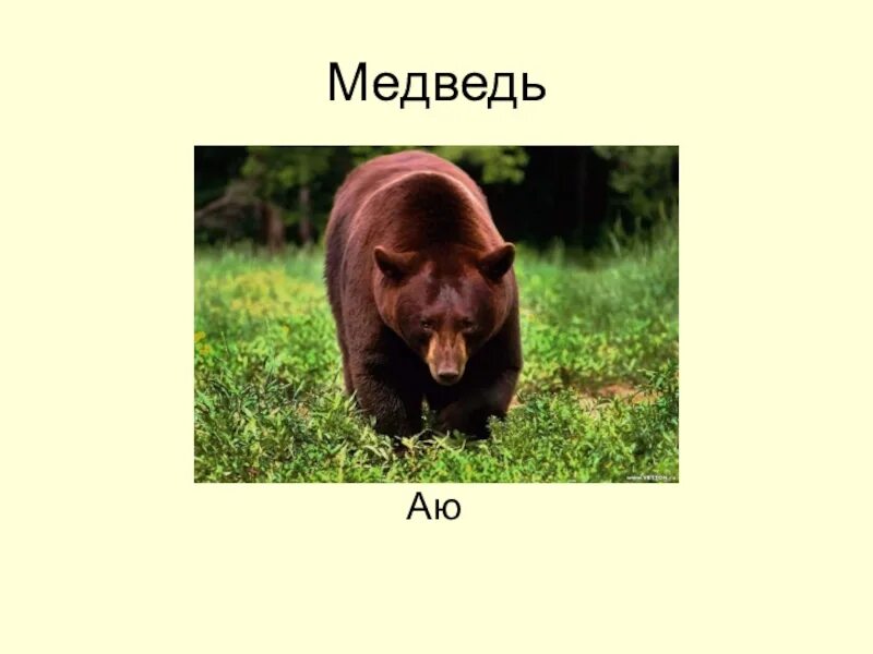 Аю аб