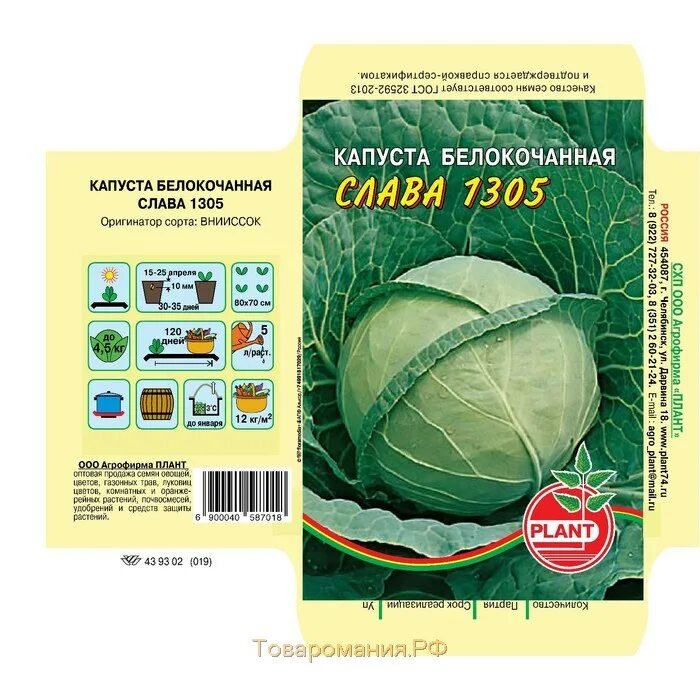 Капуста слава характеристика. Капуста Слава 1305 семена. Семена капуста "Слава" белокочанная 1305, 0,5 г. Капуста БК Слава 1305. Капуста Слава 1305 хит.