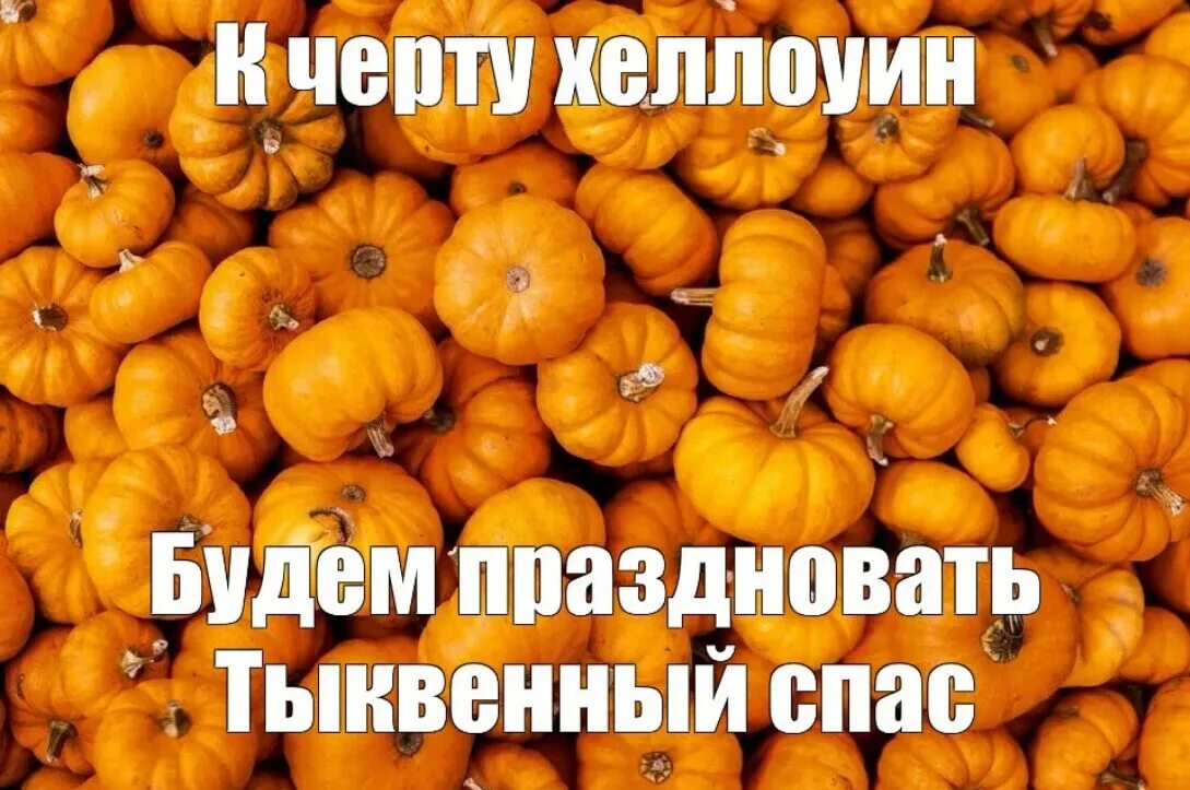 Тыквенный спас какого. Тыквенный спас. тыквенный спас открытка. праздник тыквы. тыквенный спас мем.